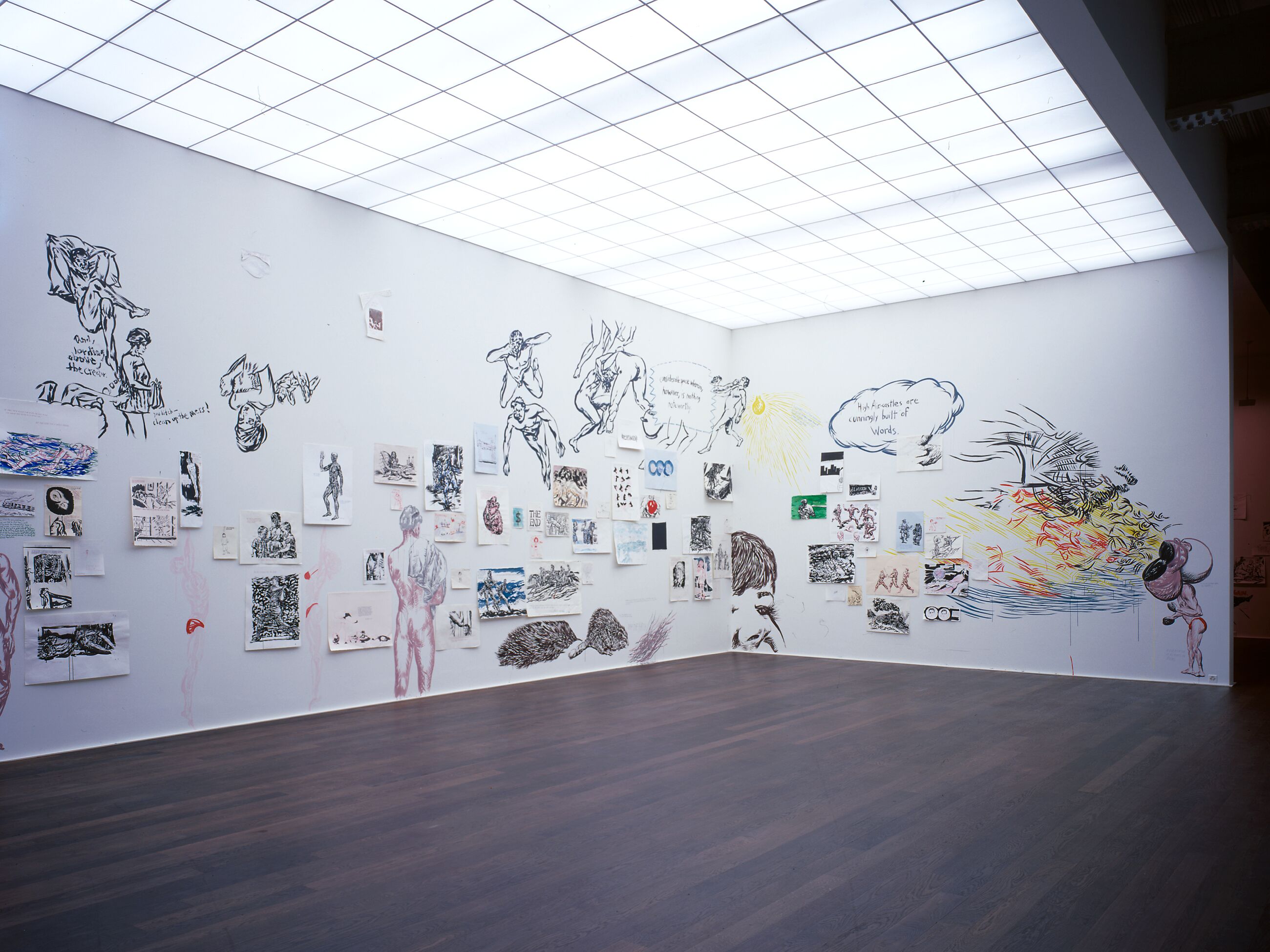 Raymond Pettibon - Hauser & Wirth